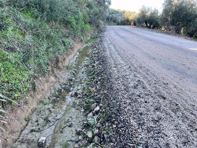 Camino forestal Transversal de Las Villas/Archivo