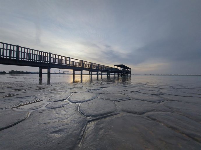 'Tiempo De Paz Y Calma', Ganadora Del Concurso De Fotos Del Día De Los Humedales En Los Toruños.