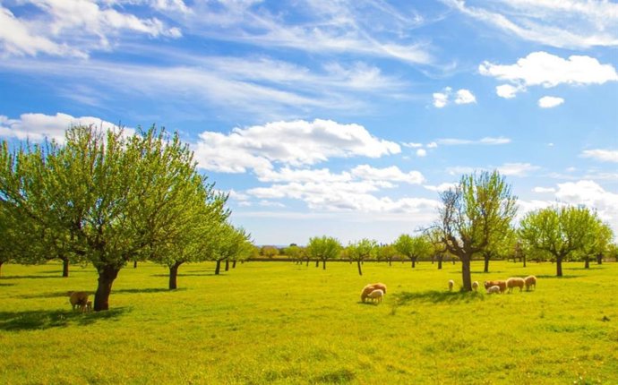 La solicitud única de ayudas de la campaña de la PAC 2024 ya se puede tramitar