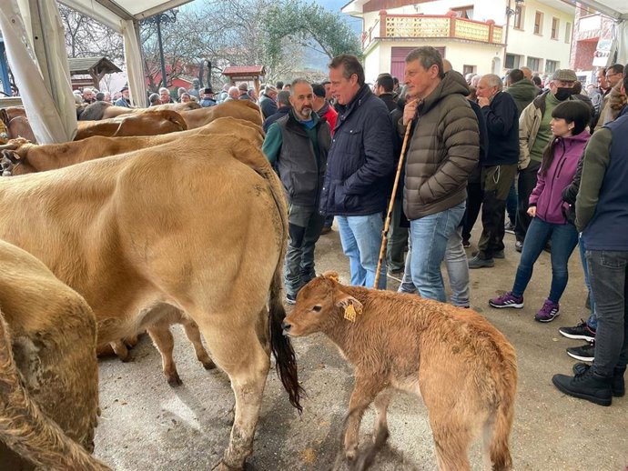 El consejero de Medio Rural y Política Agraria, Marcelino Marcos, ha asistido hoy  a la feria ganadera de San Blas, en Tuña. En la imagen, junto con el gerente de la Comisión Regional del Banco de Tierras, José Ramón Feito, y varios ganaderos.