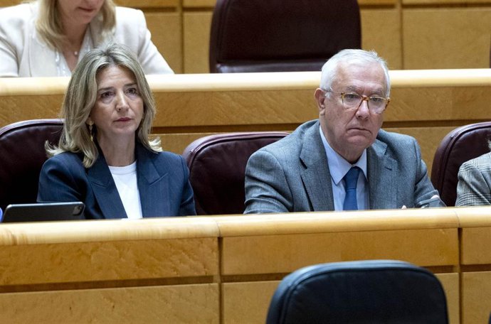 La portavoz del PP en el Senado, Alicia García, durante una sesión plenaria en el Senado, a 25 de enero de 2024, en Madrid (España).  