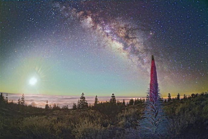 Archivo - Paisaje en el Teide