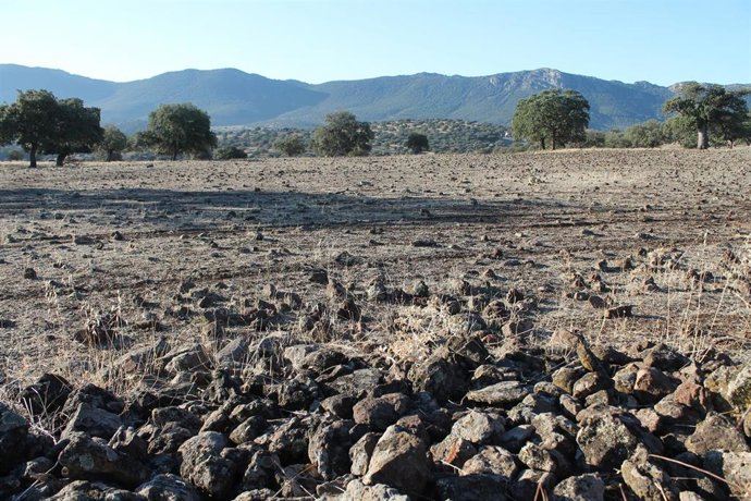 Archivo - Vista del volcán del Alhorín Ciudad Real, Castilla-La Mancha, (España). 