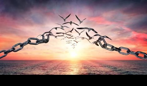 Comunicados Sociedad