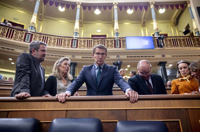 El líder y presidente del Partido Popular, Alberto Núñez Feijóo (c), durante una sesión plenaria, en el Congreso de los Diputados, a 30 de enero de 2024, en Madrid (España). 