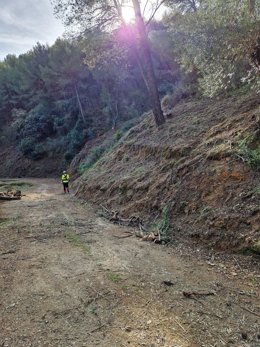 La Junta inicia los trabajos preventivos de incendios en los Montes de Málaga