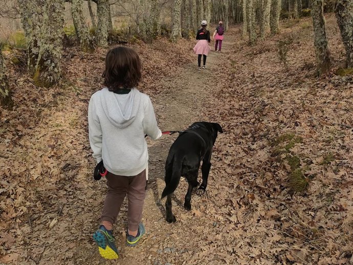 Niño pasea con un perro en la provincia de Salamanca