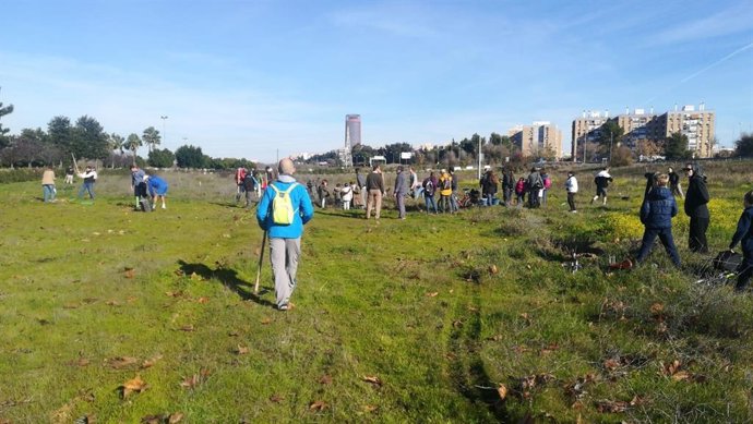 Archivo - Plantación para reforestar Tablada de la plataforma Sevilla Más Verde.