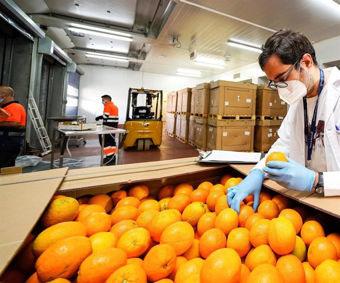 Puesto de Control Fronterizo en el Puerto de Algeciras.