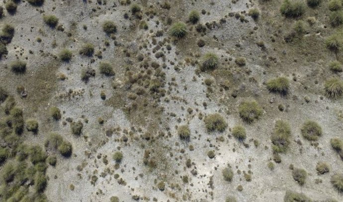 Esta estepa semiárida en Ciempozuelos, España, muestra los característicos grupos vegetativos que se encuentran en las tierras secas de todo el mundo.
