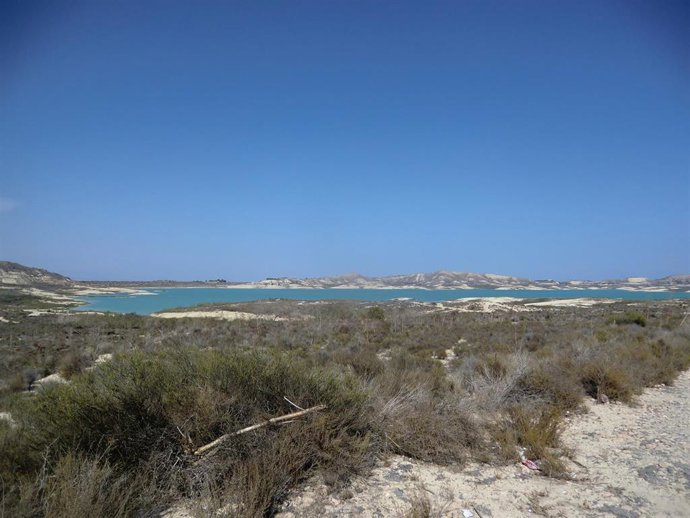 Archivo - Embalse de La Pedrera (Orihuela)
