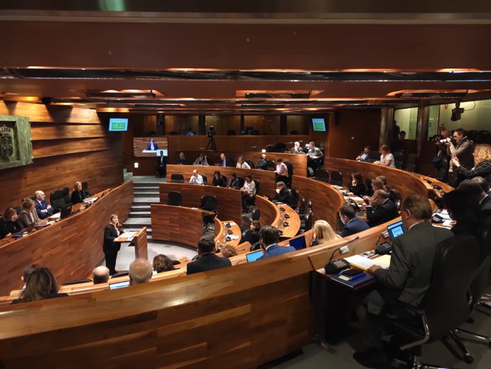 Pleno ordinario de la Junta General.