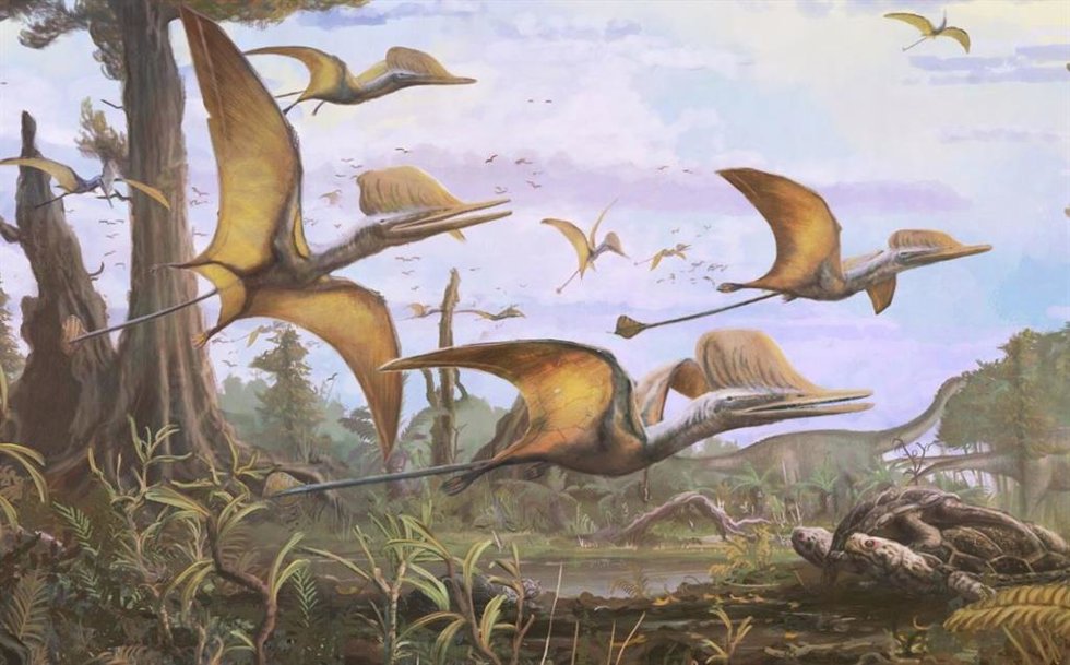 Reconstrucción de Ceoptera evansae.