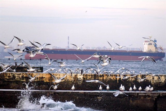 Puerto de Odesa, a orillas del mar Negro, en Ucrania