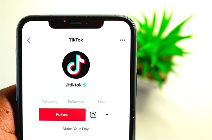 Interfaz principal de un perfil de TikTok