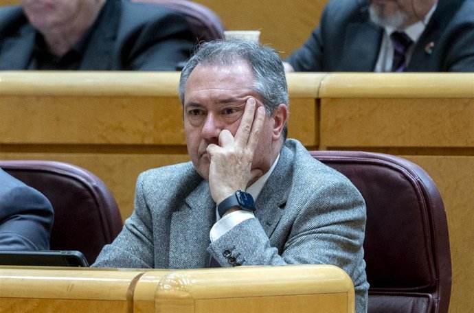 El senador del PSOE y presidente del Consejo Político Federal del partido, Juan Espadas, durante una sesión plenaria en el Senado, a 25 de enero de 2024, en Madrid (España). La reforma del artículo 49 de la Constitución, referido a las personas con disc