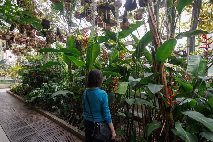 Archivo - Una mujer visita el Jardín Botánico, en Madrid