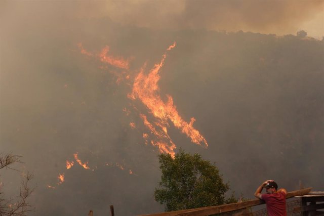 Incendios forestales causan daños en el sector Las Rosas de Quilpué