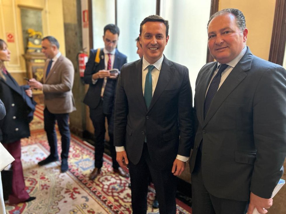 El presidente de la Diputación Provincial de Huelva, David Toscano, en la constitución de la Comisión de Diputaciones, Cabildos y Consells Insulares de la FEMP.