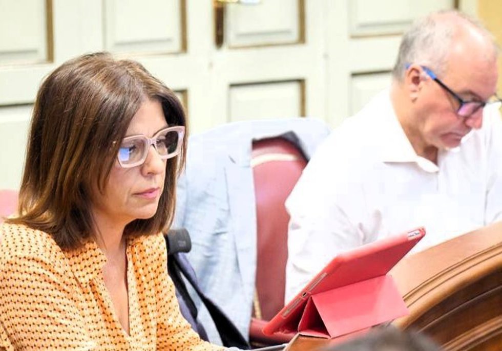 Carmen Hernández, vicepresidenta de NC-BC