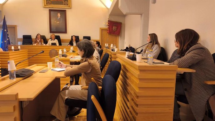 Consejo Local de la Mujer de Ciudad Real.