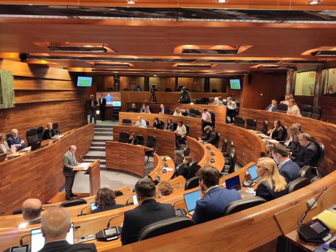 Pleno ordinario de la Junta General.