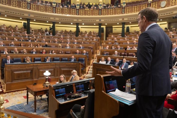 El líder del PP, Alberto Núñez Feijóo, interviene durante una sesión de control al Gobierno, en el Congreso de los Diputados, a 7 de febrero de 2024, en Madrid (España). El presidente del Gobierno, Pedro Sánchez, y el ministro de Agricultura, Pesca y Al