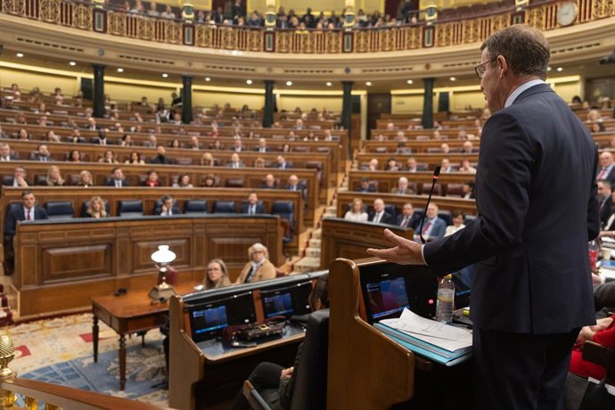 El líder del PP, Alberto Núñez Feijóo, interviene durante una sesión de control al Gobierno, en el Congreso de los Diputados, a 7 de febrero de 2024, en Madrid (España). El presidente del Gobierno, Pedro Sánchez, y el ministro de Agricultura, Pesca y Al