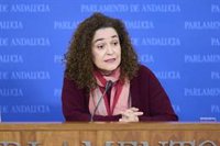 Por Andalucía llevará al TC el nuevo decreto-ley de simplificación administrativa si no se debate como proyecto de ley