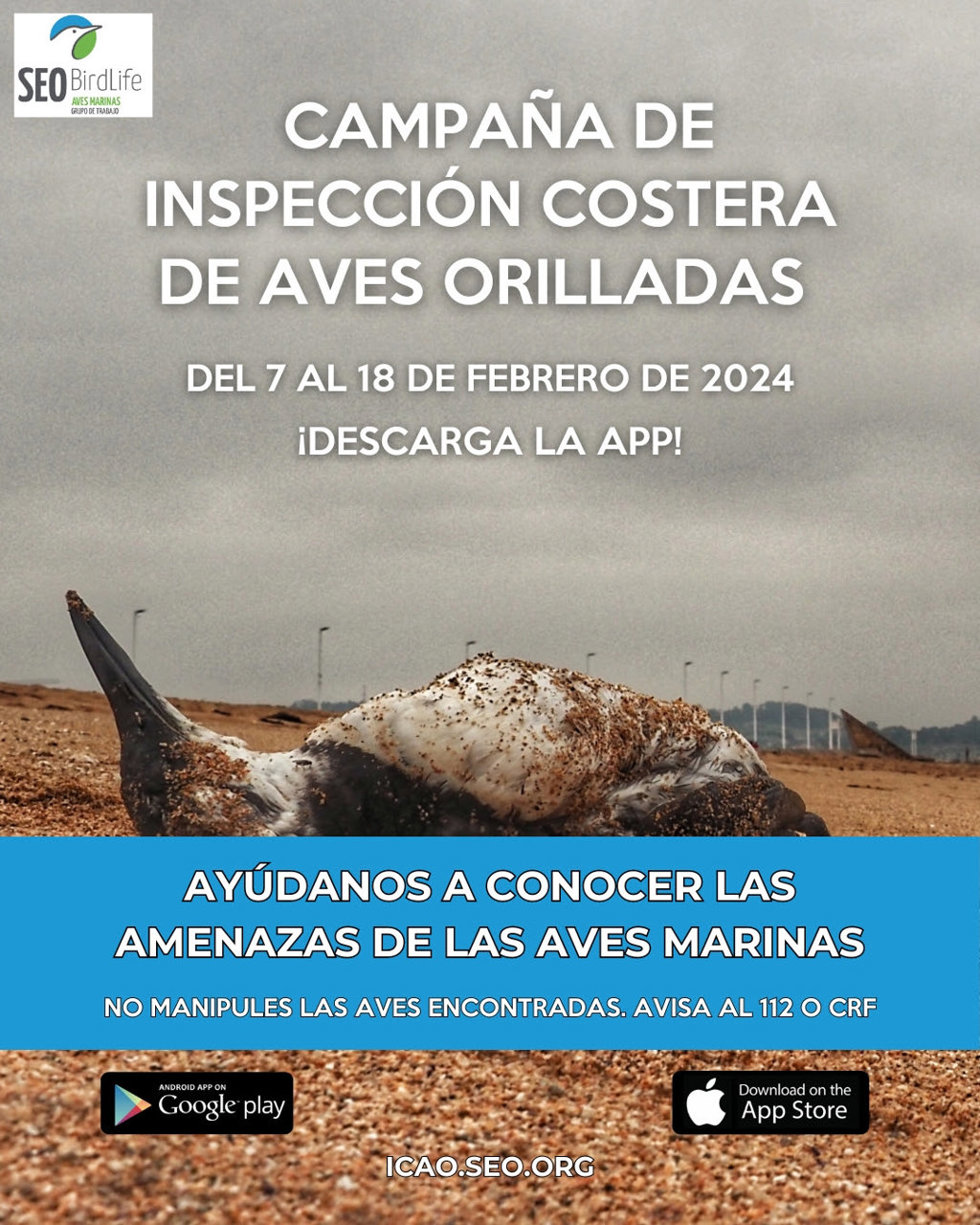 Cartel de la campaña de inspección costera.