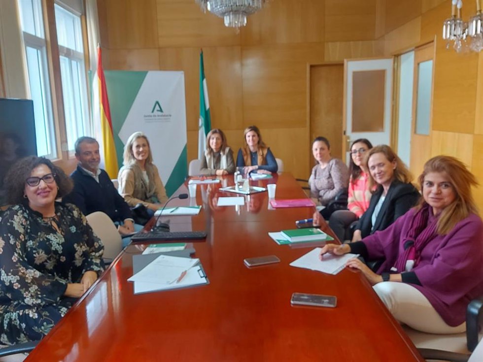 Un momento de la reunión en la Delegación de Salud de la Junta en Córdoba.