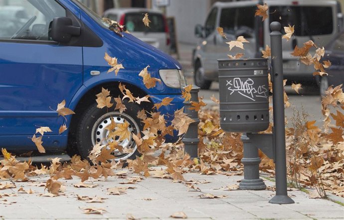Archivo - Hojas moviéndose por el viento