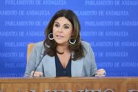 PSOE-A advierte a la Junta de que la simplificación administrativa no puede equivaler a "evitar controles"