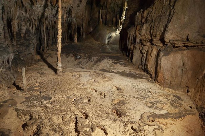 Archivo - Huellas de pisadas humanas -del hombre del Paleolítico- descubiertas en una galería de la cueva cántabra de La Garma
