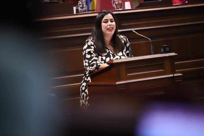 La diputada Alicia Pérez, del Grupo Socialista Canario