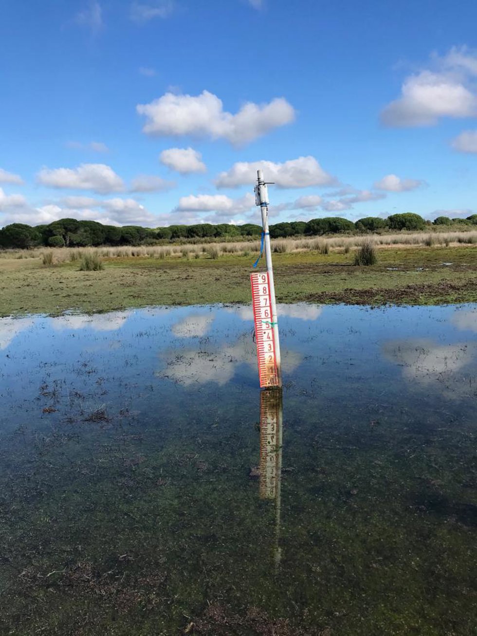 Imagen de uno de los muestreos llevados a cabo por los invesitgadores de las lagunas de Doñana (Huelva).