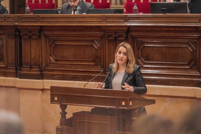 La consellera d'Economia, Natàlia Mas, en el ple del Parlament