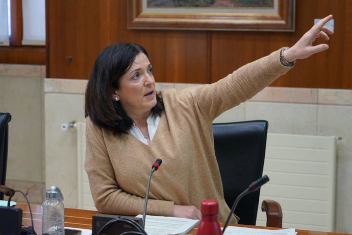La teniente de alcaldesa y concejala de Espacio Público y Barrios, Beatriz Artolazabal, ha comparecido este miércoles en Comisión municipal para explicar los planes de esta obra