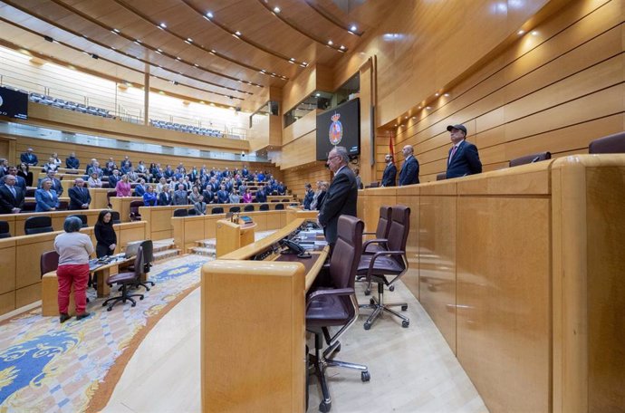 Minuto de silencio por las víctimas de la violencia de género durante una sesión plenaria en el Senado, a 25 de enero de 2024, en Madrid (España). La reforma del artículo 49 de la Constitución, referido a las personas con discapacidad, concluye hoy su t