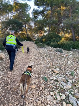 Policía Local Alcúdia en el dispositivo de búsqueda del menor