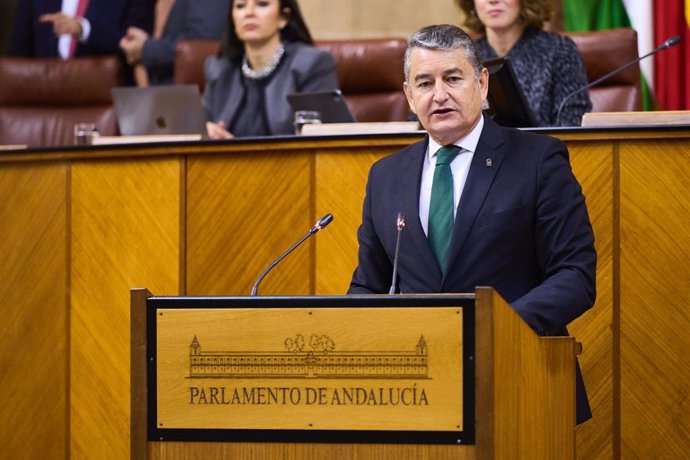 El consejero de la Presidencia, Antonio Sanz, este miércoles en el Pleno del Parlamento en la defensa del decreto-ley 1/2024.