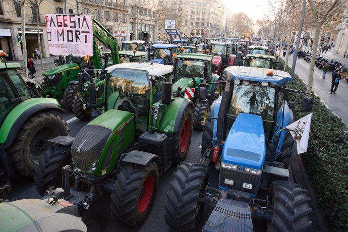 Diversos tractors d'agricultors durant una manifestació en la segona jornada de protestes, a 7 de febrer de 2024 a Barcelona, Catalunya (Espanya)