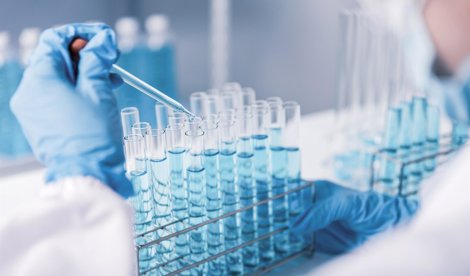 Comunicados Internacional