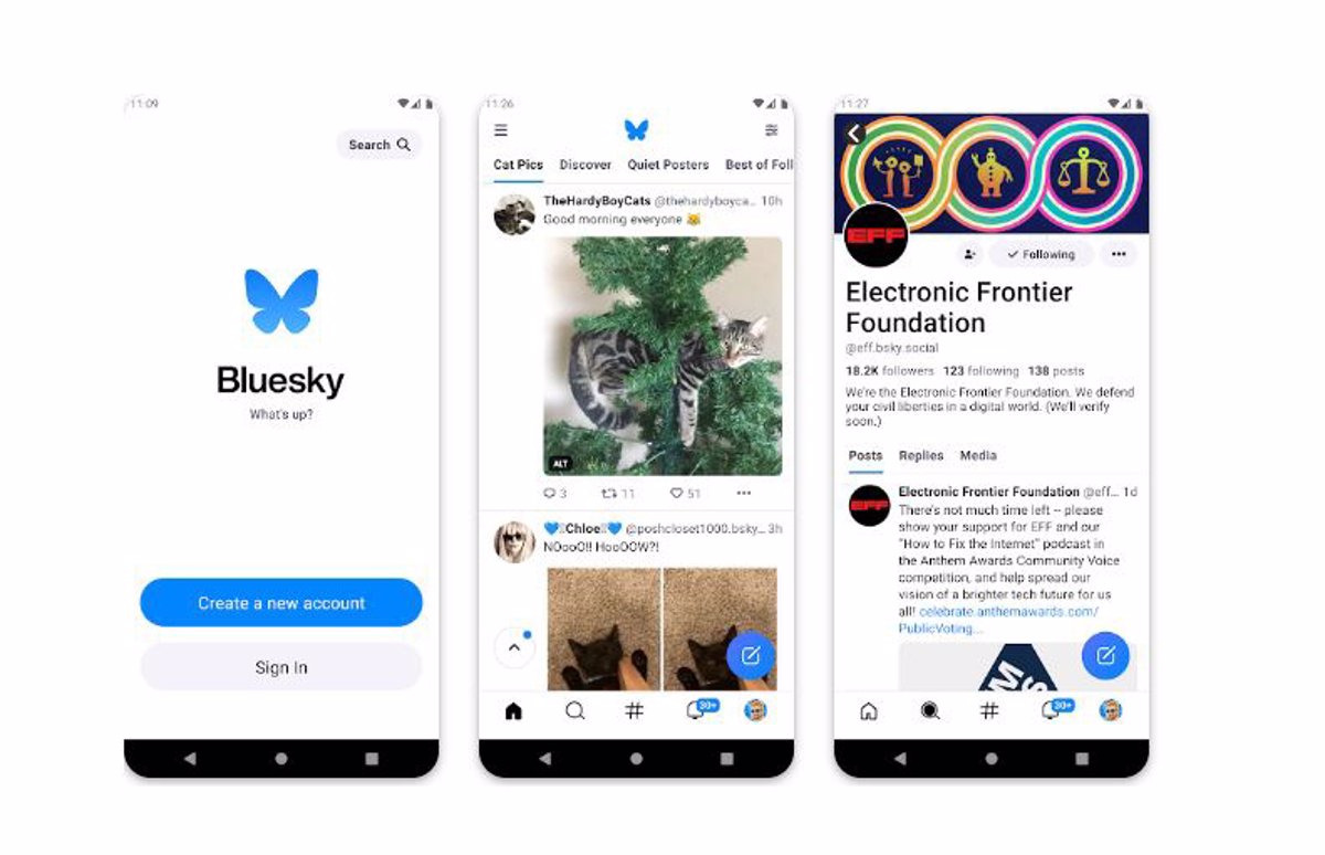 Bluesky Gains Over a Million New Users Following Termination of Invitation System