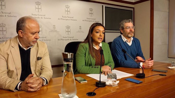 La portavoz de Vox en la Junta General, Carolina López, en rueda de prensa junto a los diputados Javier Jové (d) y Gonzalo Centeno (i)