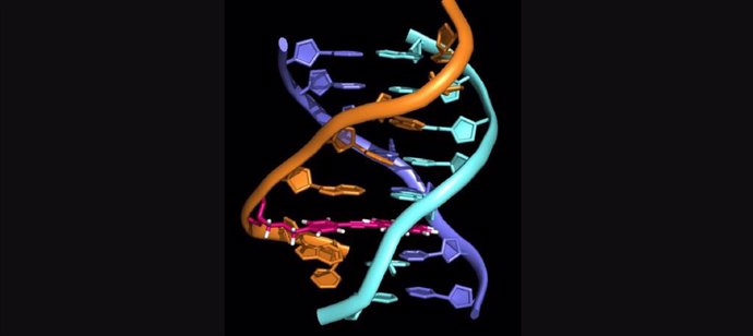 Estructura de una hélice triple de ADN con la molécula TINA intercalada
