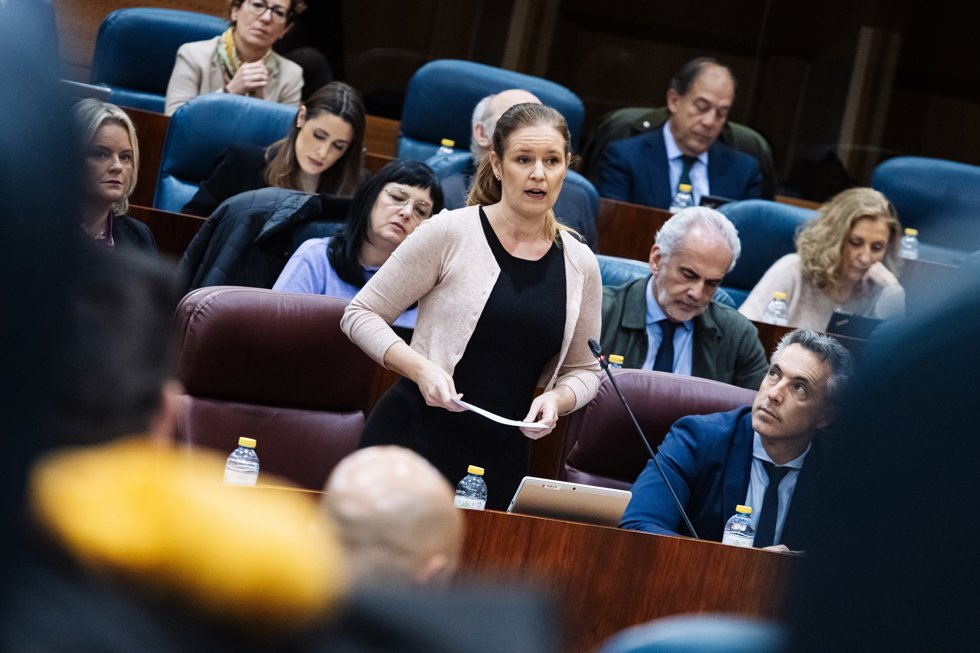 La consejera de Familia, Juventud y Asuntos Sociales, Ana Dávila-Ponce, interviene durante un pleno en la Asamblea de Madrid, a 8 de febrero de 2024
