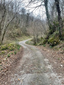 El Principado inicia obras en el acceso a Vibuli, en Ponga