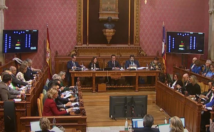 Imagen del pleno insular.