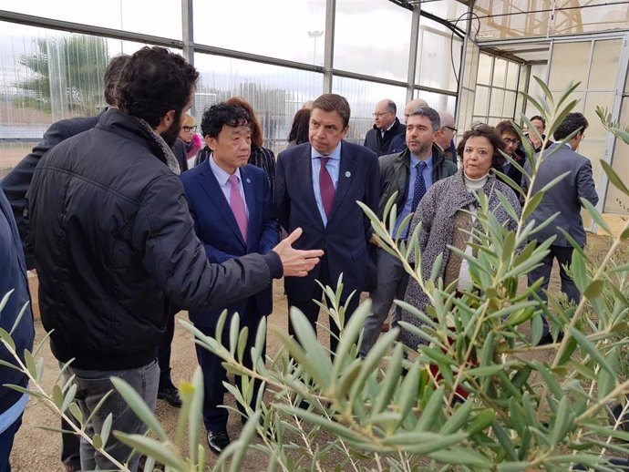 Archivo - Visita del director general de la FAO al Banco de Germoplasma de Olivo en el ceiA3 con el ministro de Agricultura español, en una imagen de archivo de 2019.